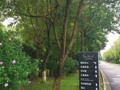 -太阳岛度假酒店