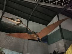 -湖南省地质博物馆