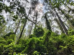 -水濂山森林公园