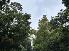 -虞山风景区