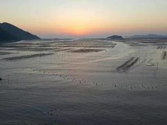 -北岐滩涂