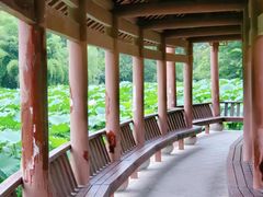 -龙头寺公园