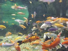 -常州海昌海洋探索馆