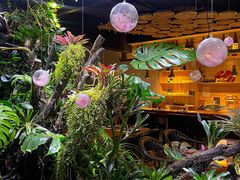 -森味薪火烧•烧鸟居酒屋•日本料理(望京店)