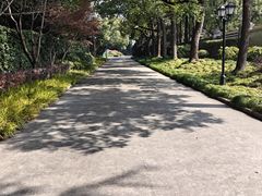 -上海虹桥迎宾馆