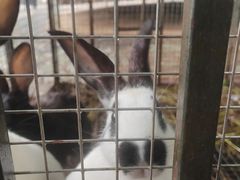 -天毓山庄·餐厅