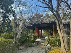 -巡塘古镇