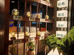 -芸山季·云南野生菌火锅(人民广场来福士店)