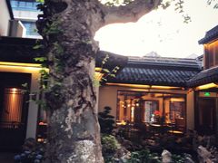 -鲤院·新中式美学·庭院餐厅(夫子庙店)