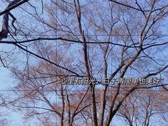 -荆州中山公园动物园