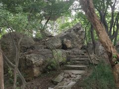 -紫金山山顶公园