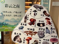 -云采云南菜(中山北路店)