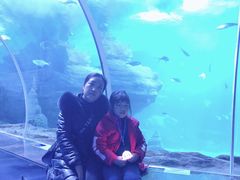 -多彩贵州城极地海洋世界