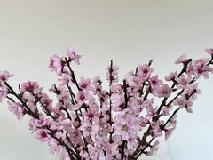 -叁山与肆客服号民宿(龙泉阳光城百工堰公园店)