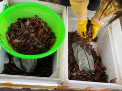 -马王堆海鲜水产市场