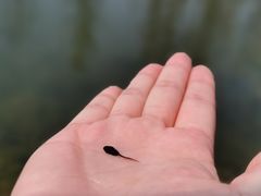 -白鹭湾湿地公园