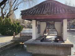 -团结湖公园
