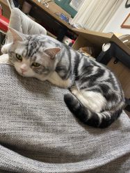 -长沙纹身·龙堂刺青·三土师傅的店