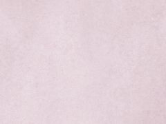 -奈雪的茶(新天地广场PRO店)