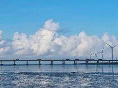 -南汇新城海滩