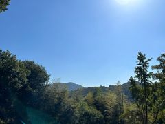 -南宋胡记(杭州灵隐寺店)