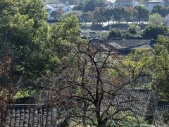 -东钱湖旅游度假区