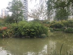 -新湖明珠城
