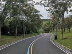-牛岗山公园