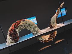 -上海虹桥中心爱琴海亚朵S酒店