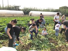 -田园东方蜜桃村的田野营地