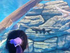 -石家庄极地海洋世界
