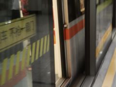 -杨高南路(地铁站)