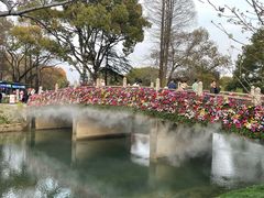 -苏州上方山国家森林公园
