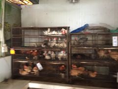 -绿雅居原生态农庄(小涌店)