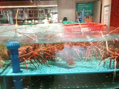 -阿伟海鲜楼·福建菜(延寿店)