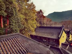 -鲜丰水果(杭州庆春银泰店)
