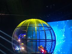 -兴芮温泉度假区