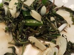 凉拌香椿-羊先生