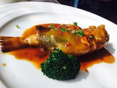 -梧桐餐厅(泉城路店)