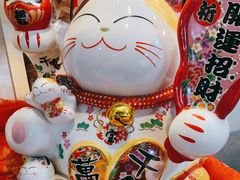 -猫十亿·布偶金渐层·曼基康矮脚猫舍(青年路店)