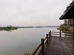 -三垟湿地