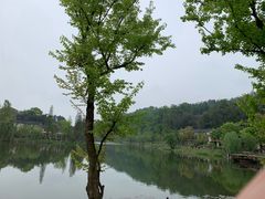 -常德桃花源景区