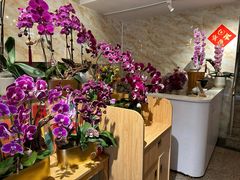 -花二家·生活馆(六运小区店)