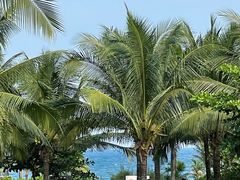 -三亚海棠湾喜来登度假酒店