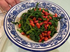 拌芹菜苗-食家鸽园