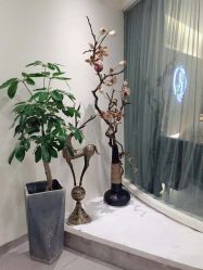 -康颜SPA自然疗愈皮肤管理中心