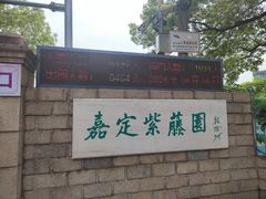-嘉定紫藤园