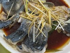 -煲来饱去冷水鱼