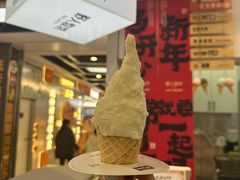 -野人先生现做冰淇淋(西安赛格店)
