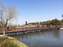 iphone_upload_pic-上海鲜花港